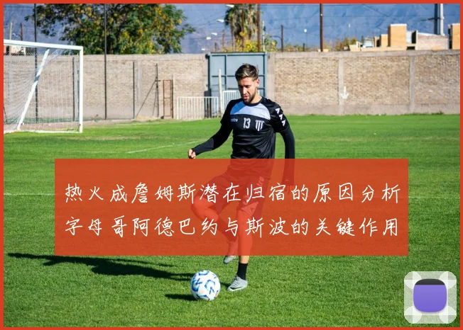热火成詹姆斯潜在归宿的原因分析字母哥阿德巴约与斯波的关键作用