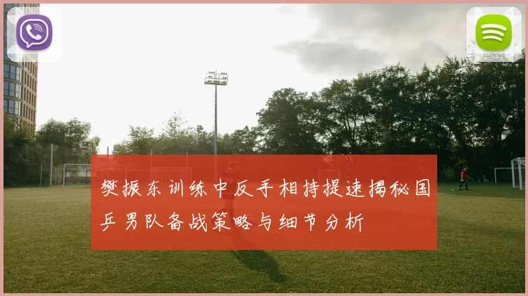 樊振东训练中反手相持提速揭秘国乒男队备战策略与细节分析